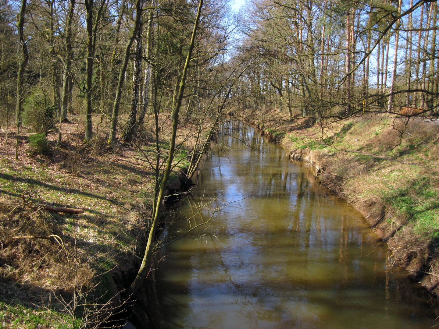 Der Frühling kommt immer näher