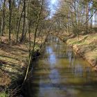 Der Frühling kommt immer näher