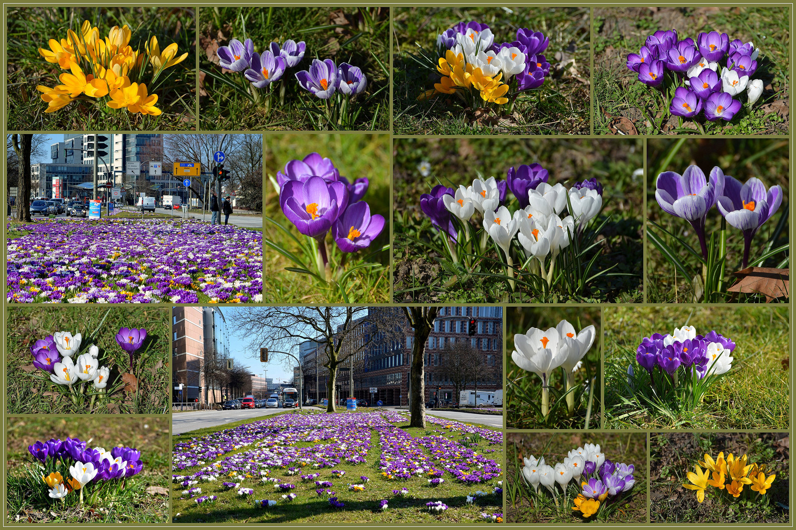 Der Frühling kommt in die Stadt