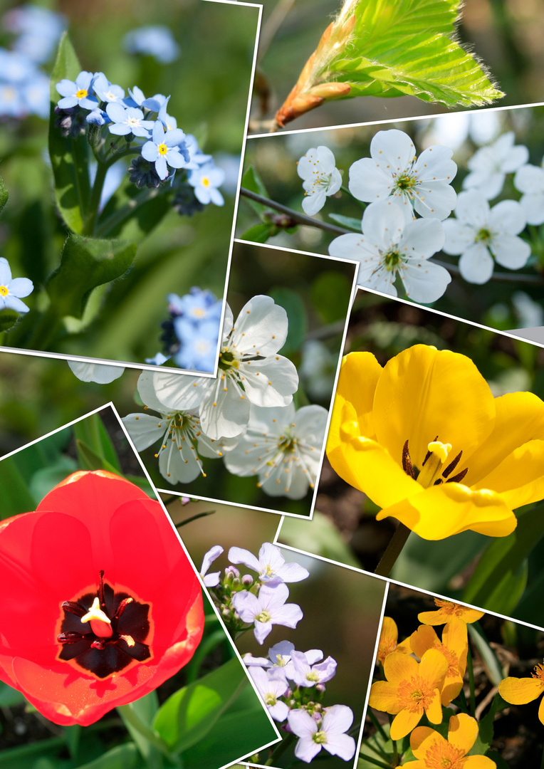 Der Frühling kommt in großen Schritten