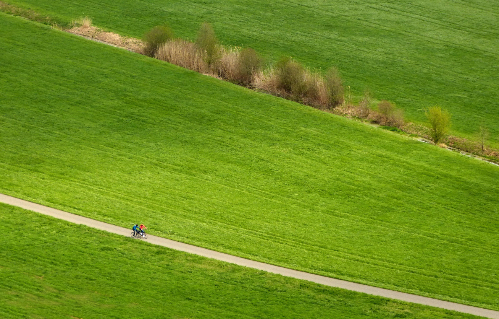 Der Frühling kommt ins Rollen