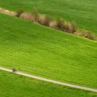 Der Frühling kommt ins Rollen