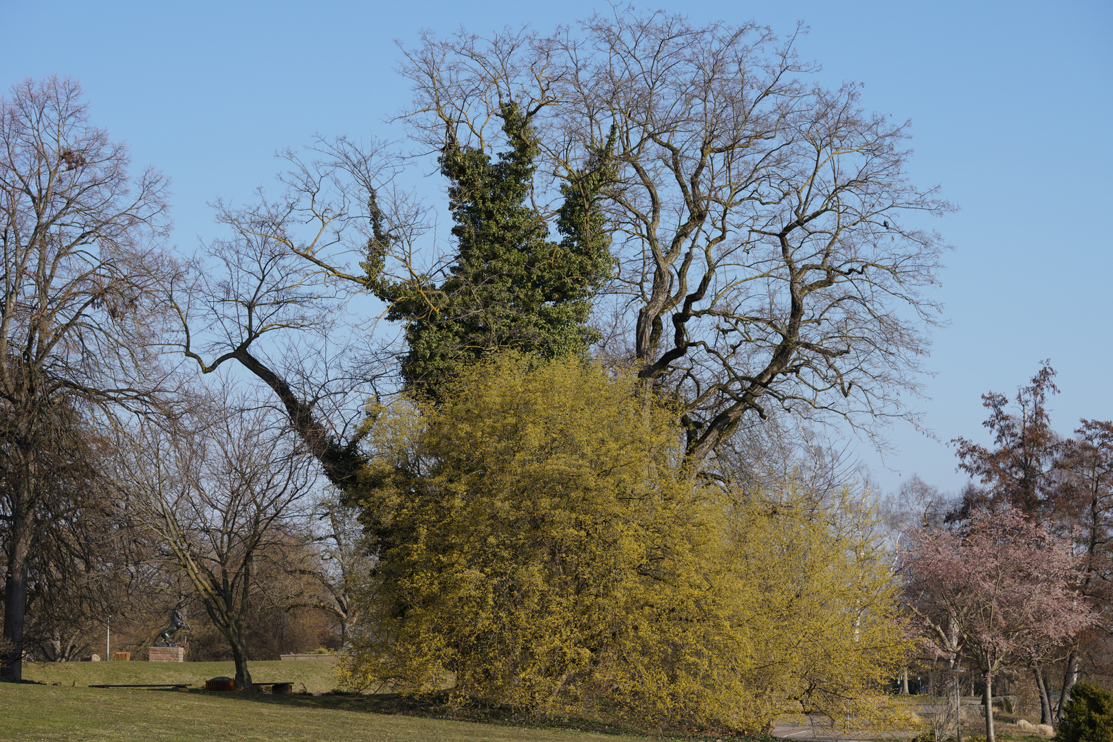 Der Frühling kommt ( Killesbergpark - Stuttgart ) 