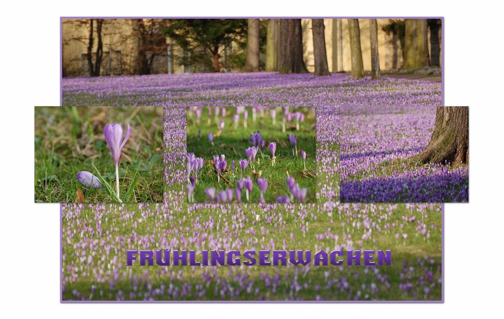 Der Frühling kommt mit ganz großen Schritten......:-))