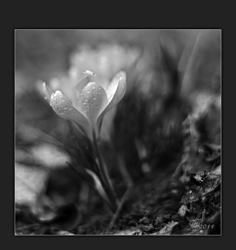 Der Frühling kommt mit groooooßen Schritten