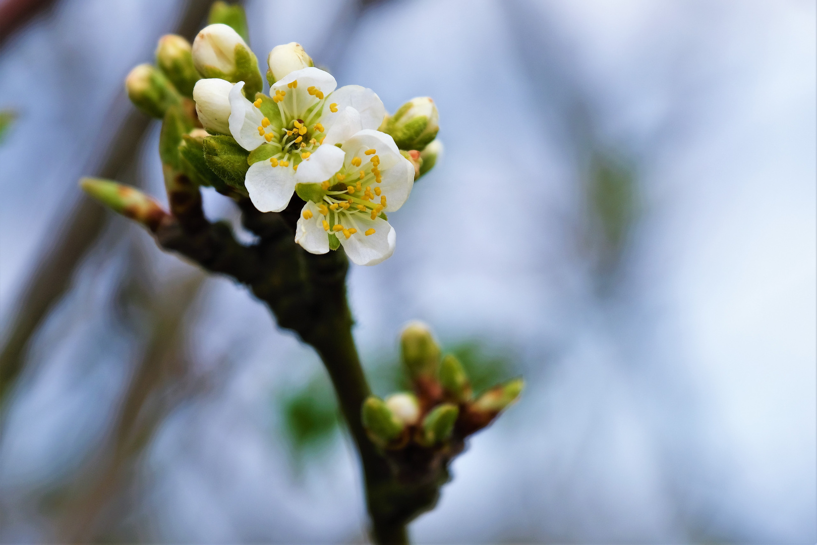 Der Frühling kommt mit großen Schritten