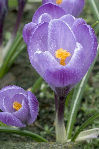 Der Frühling kommt mit großen Schritten