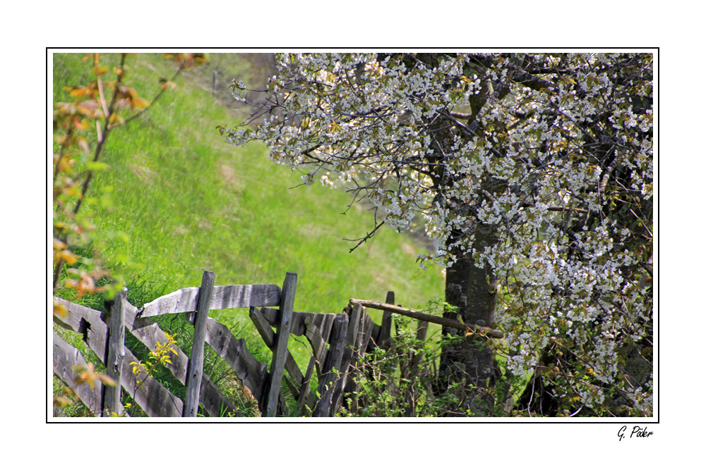 Der Frühling kommt mit langsamen Schriten