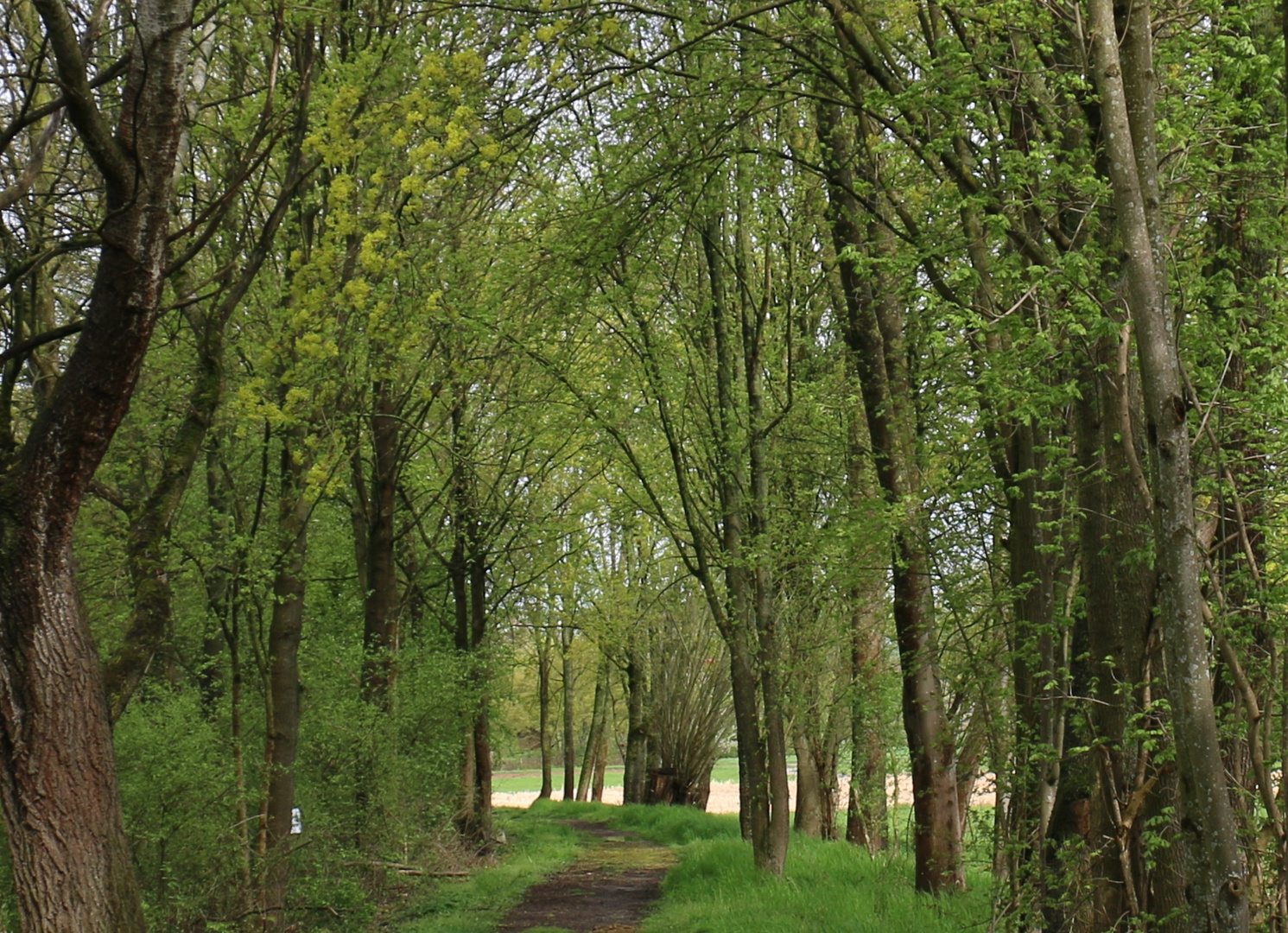 der Frühling kommt näher