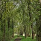 der Frühling kommt näher