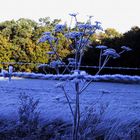 Der Frühling kommt näher