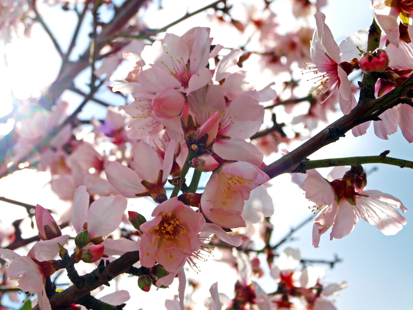 Der Frühling kommt schon irgendwann...