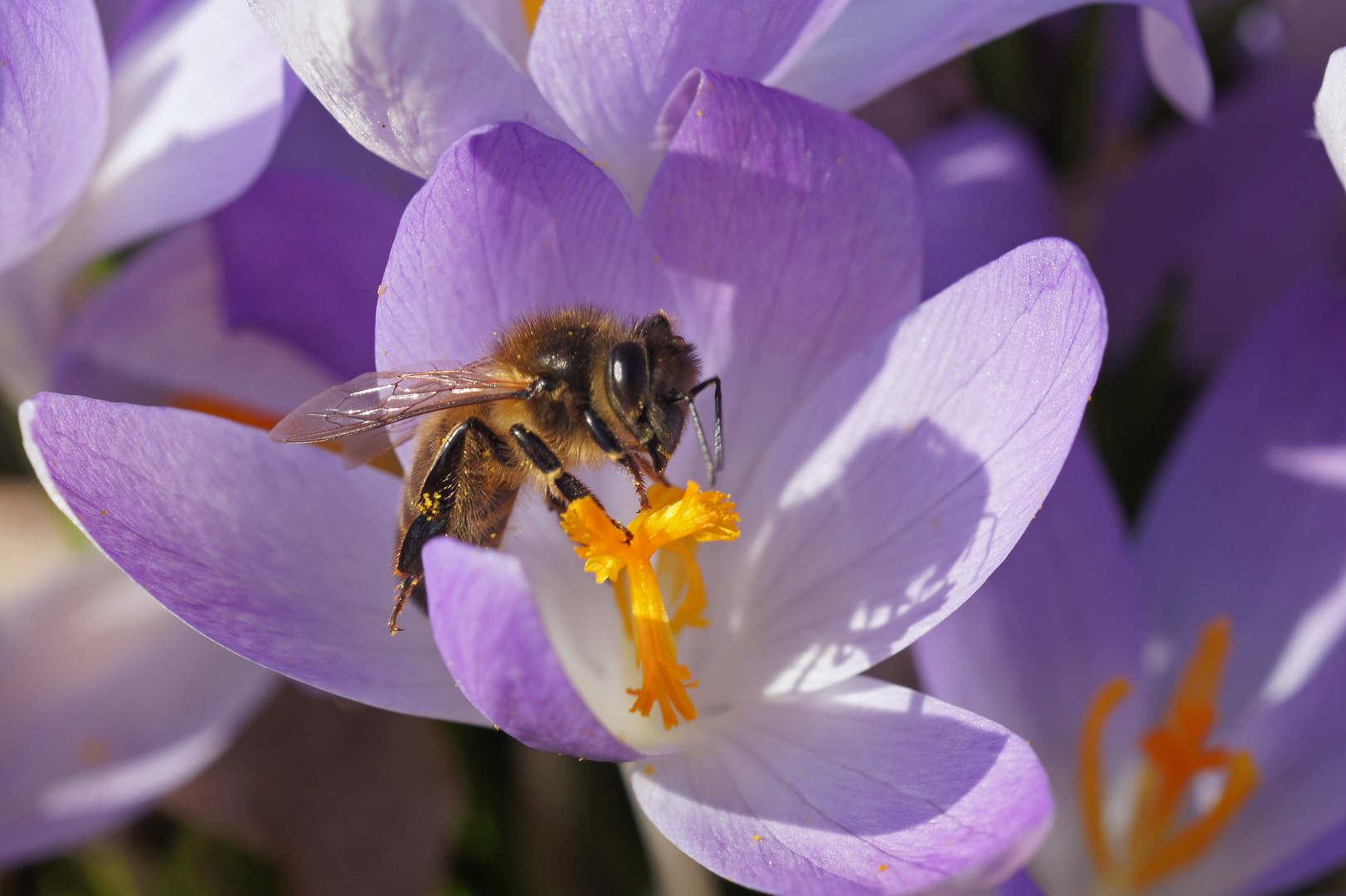 der Frühling kommt, und die Arbeit kann wieder beginnen