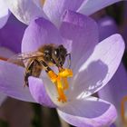 der Frühling kommt, und die Arbeit kann wieder beginnen