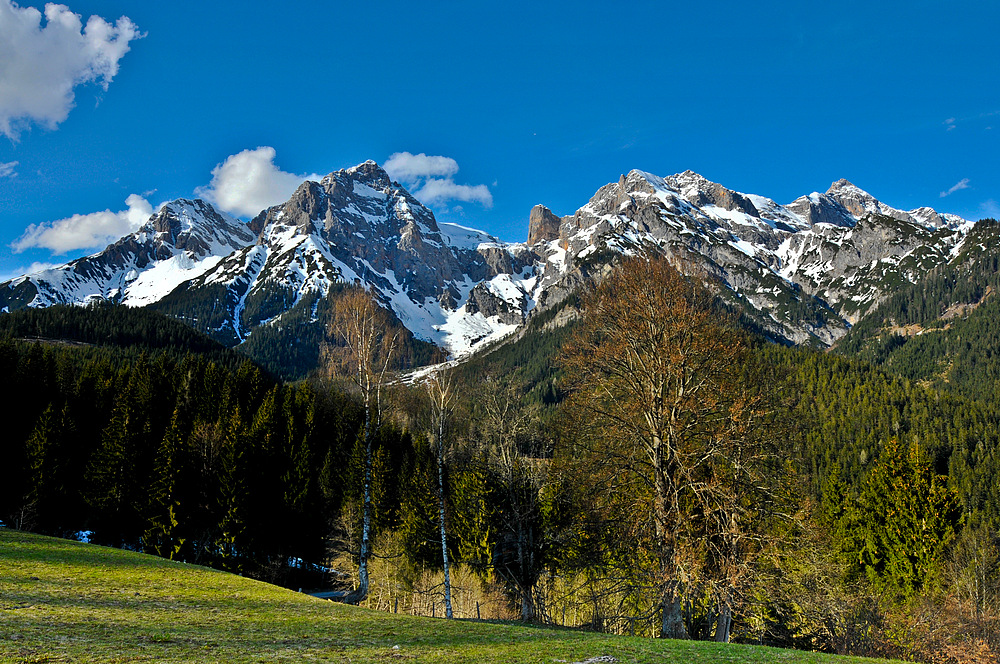 Der Frühling kommt zaghaft