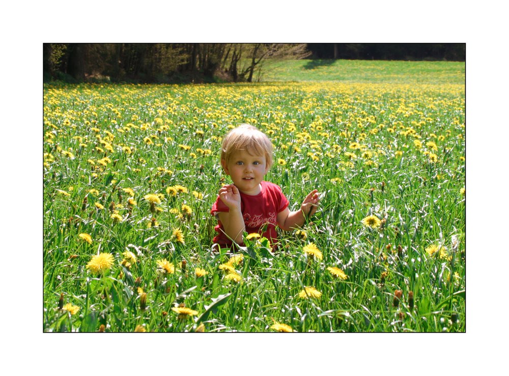 der Frühling kommt zurück