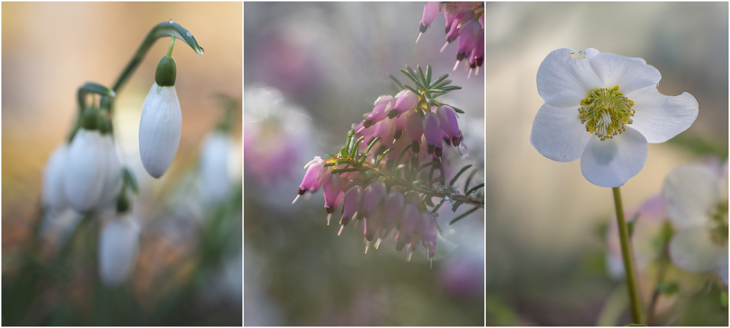 Der Frühling kündigt sich an