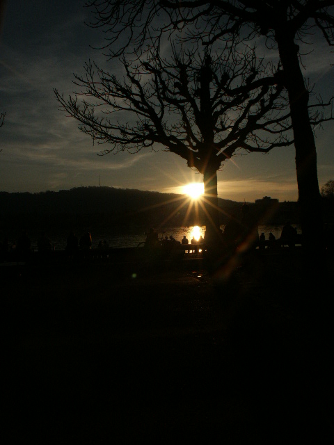 Der Frühling lässt die Sonne grüssen