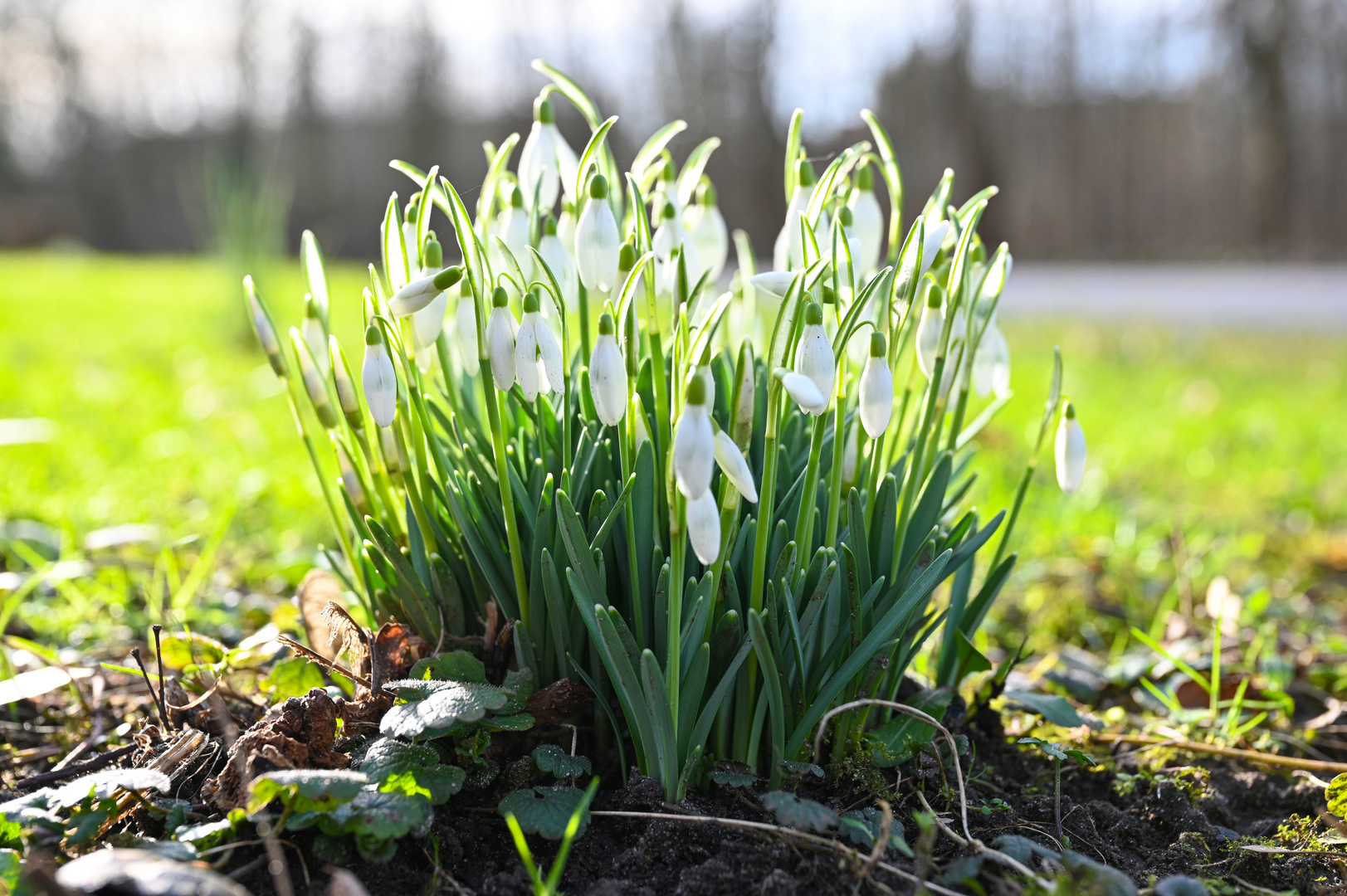 Der Frühling lässt grüßen!