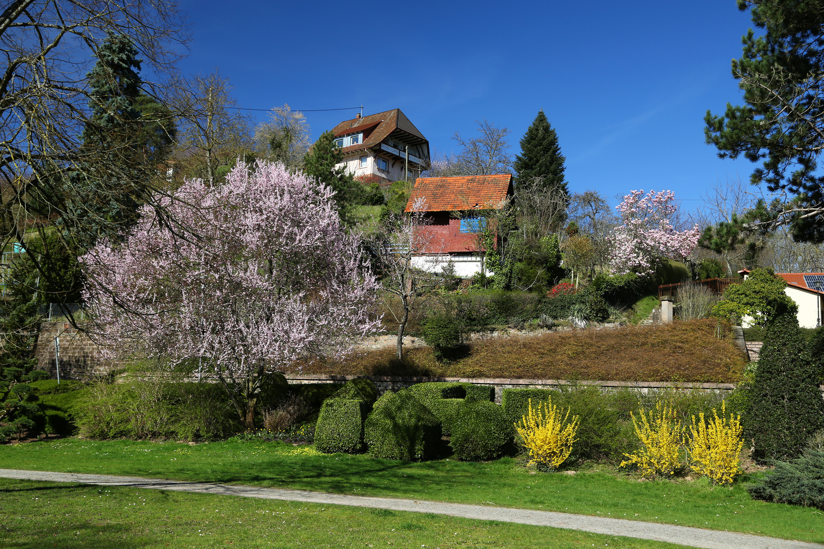 Der Frühling lässt grüßen....