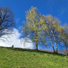 Der Frühling lässt grüßen!