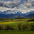 Der Frühling läßt grüßen