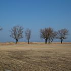 Der Frühling lässt im Rheindelta noch auf sich warten