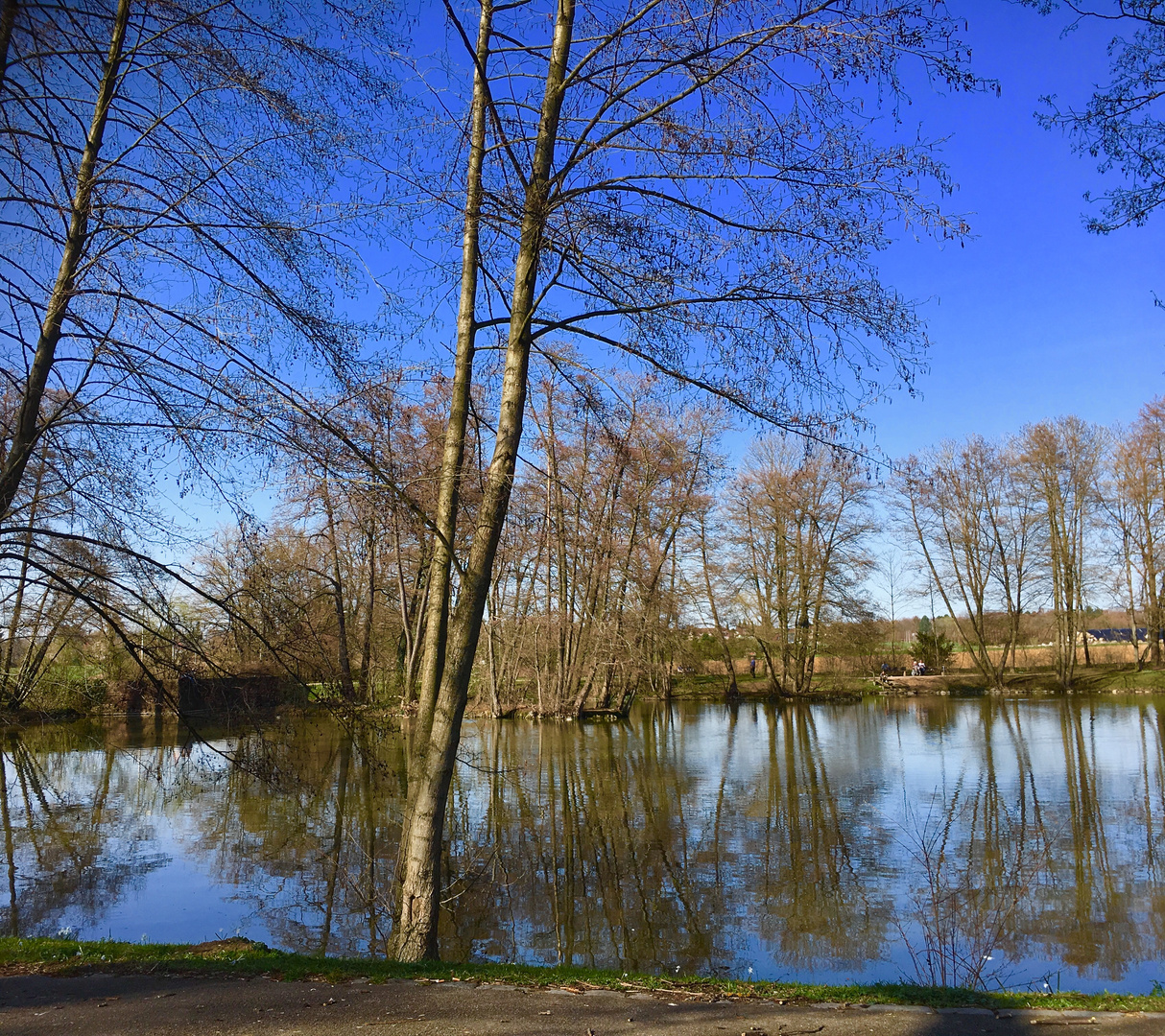 der Frühling lässt sein blaues Band wieder flattern durch die Lüfte 