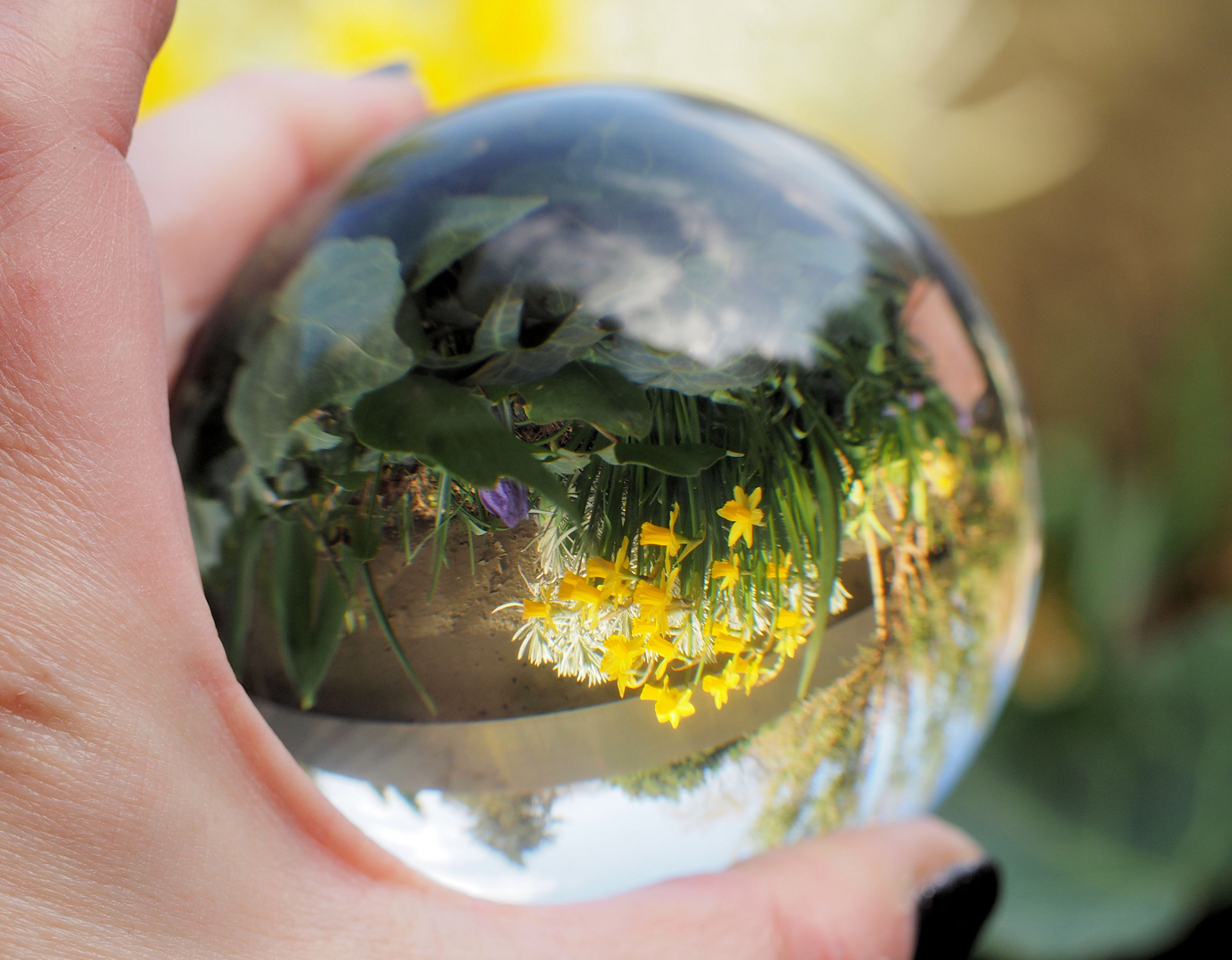 Der Frühling liegt in meiner Hand.... 