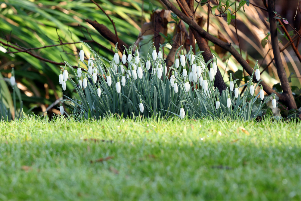 der Frühling lockt ...