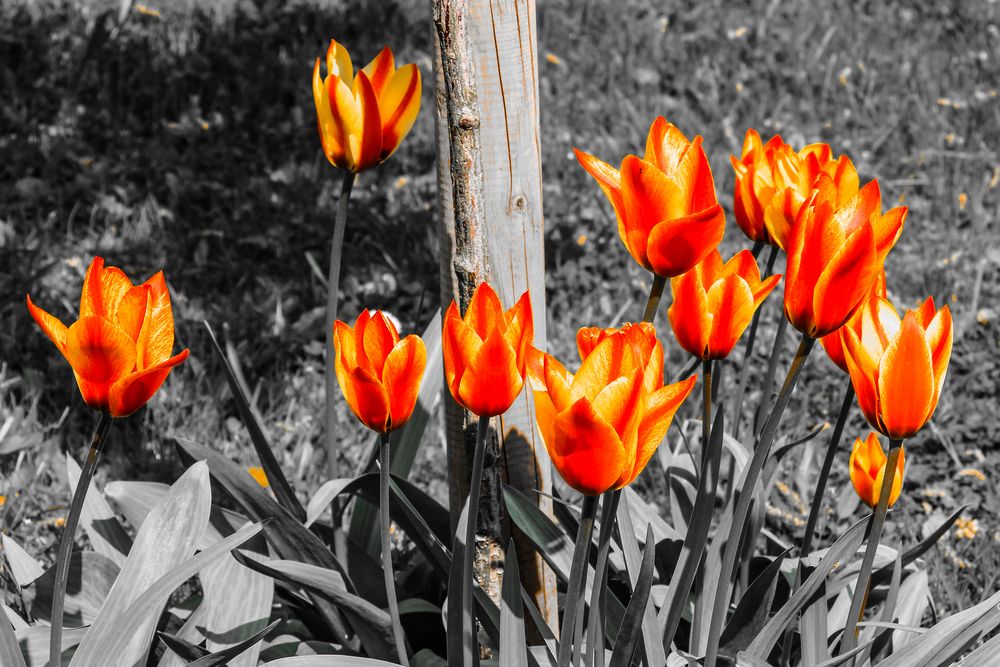 Der Frühling macht eine kleine Pause