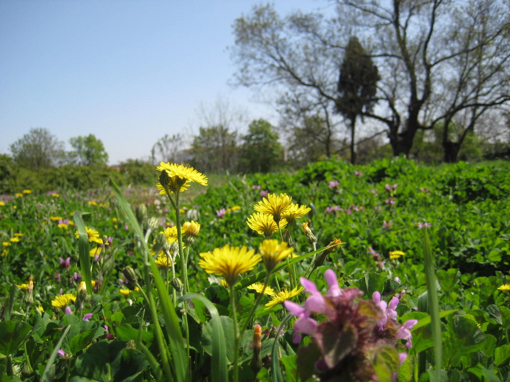 der Frühling macht lustig