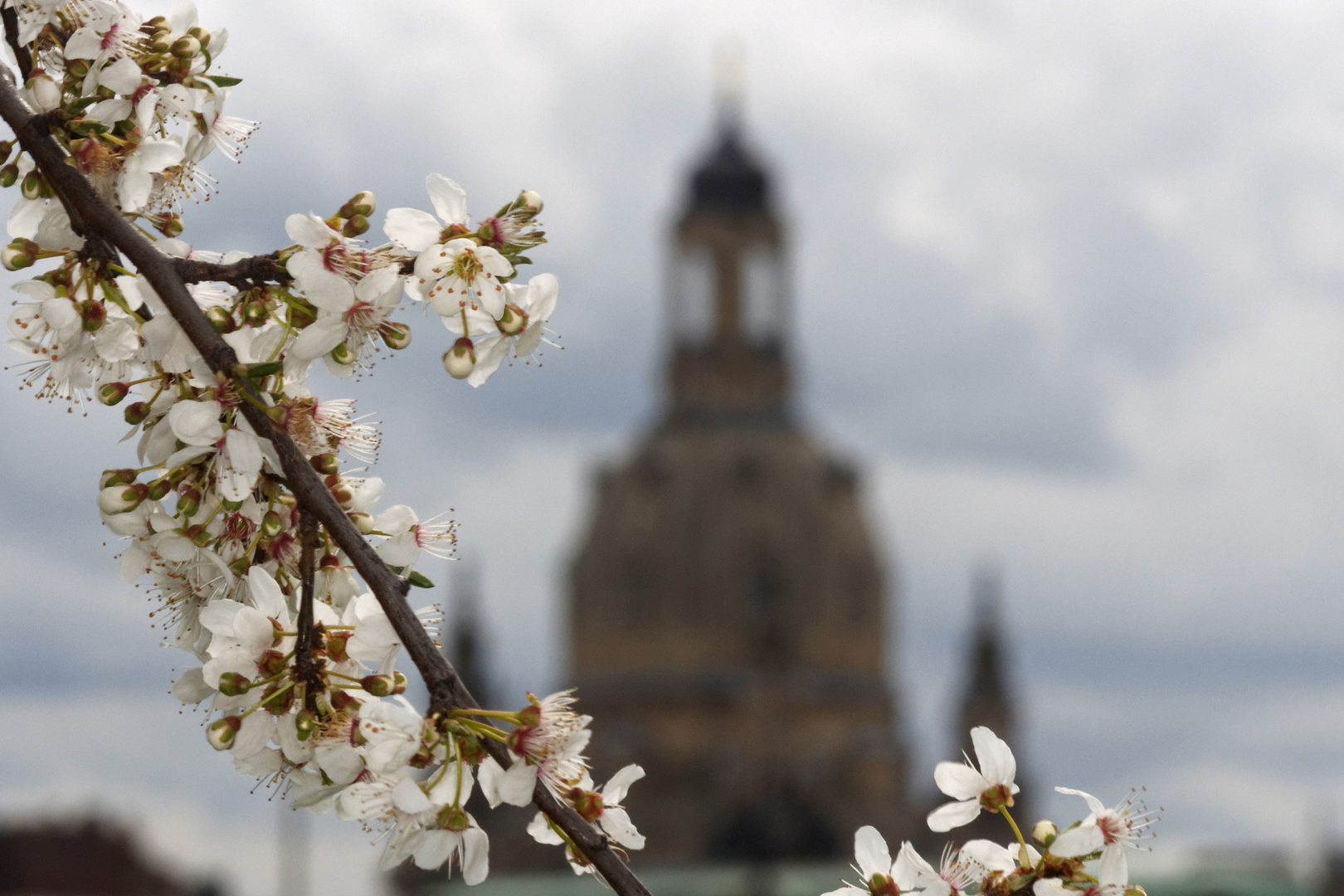 Der Frühling macht sich