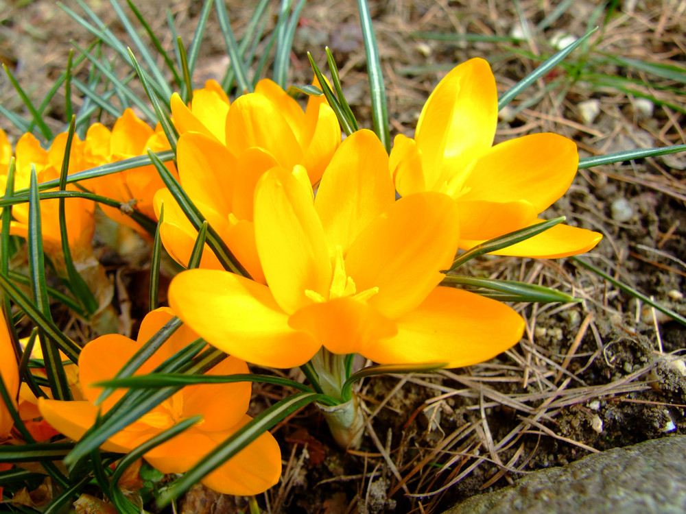 Der Frühling macht sich bemerkbar