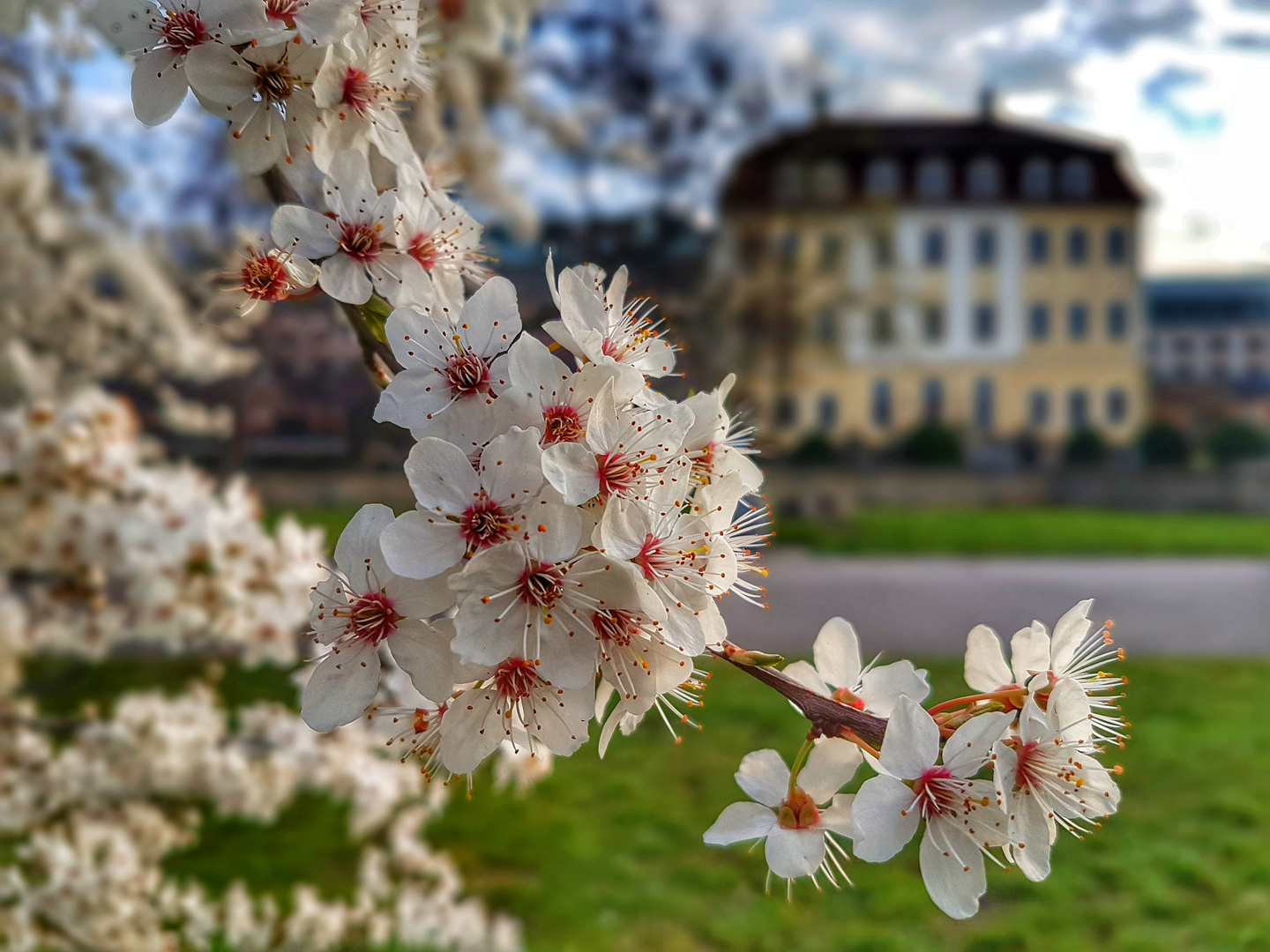 ** Der Frühling macht weiter **