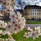 ** Der Frühling macht weiter **