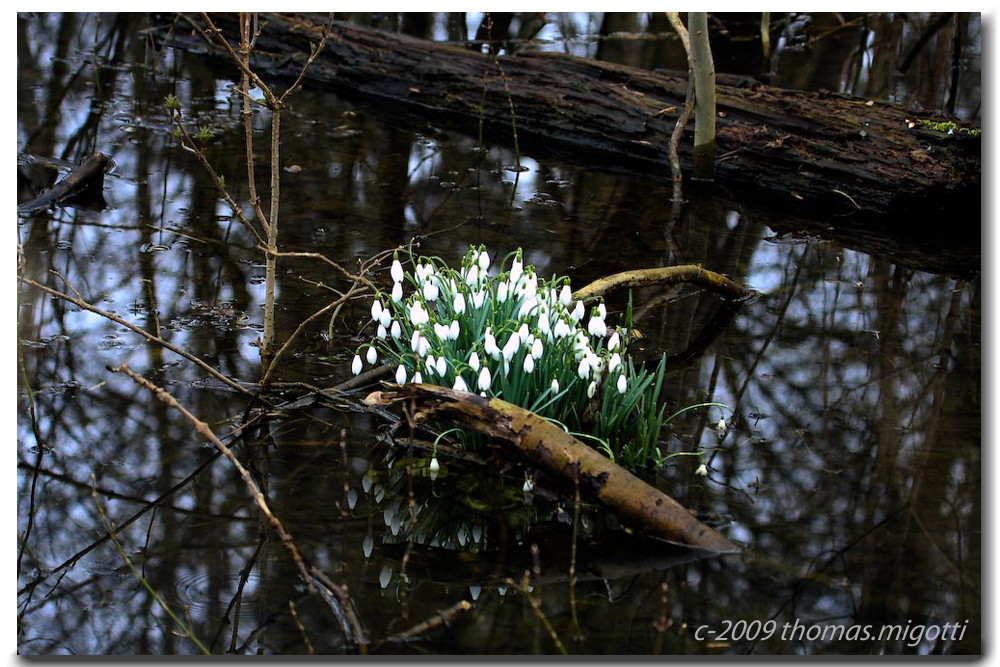 Der Frühling mal anders