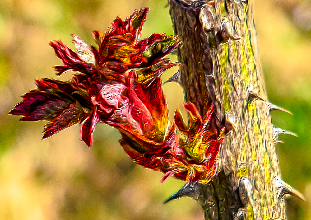 Der Frühling malt die Natur neu