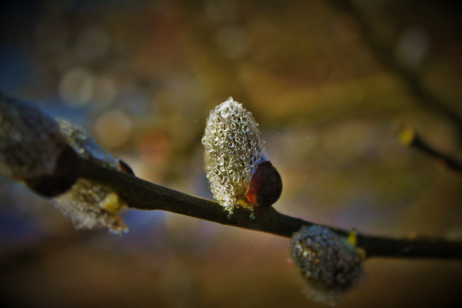 Der Frühling maschiert ein......