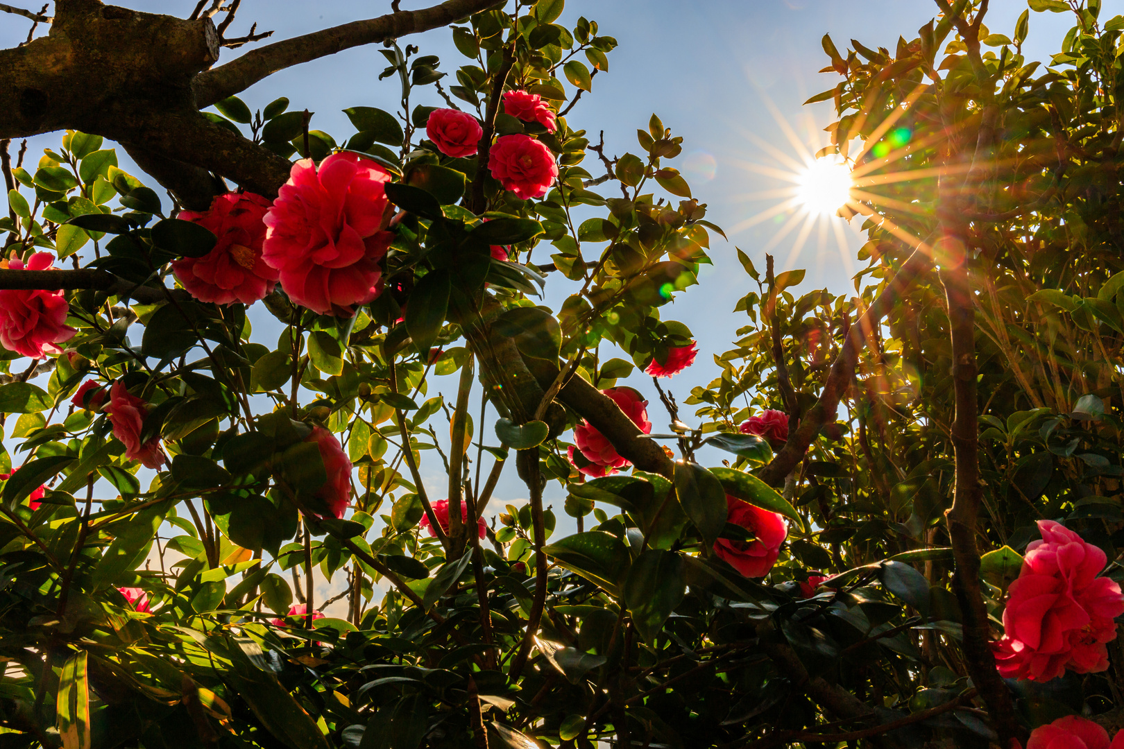 Der Frühling meldet sich