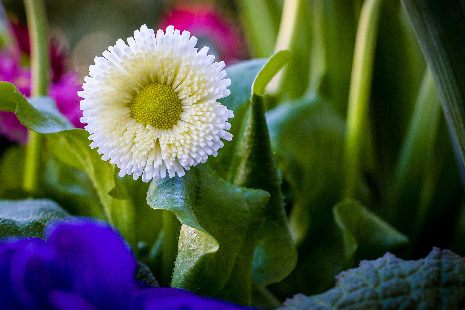 Der Frühling meldet sich zu Wort