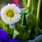 Der Frühling meldet sich zu Wort