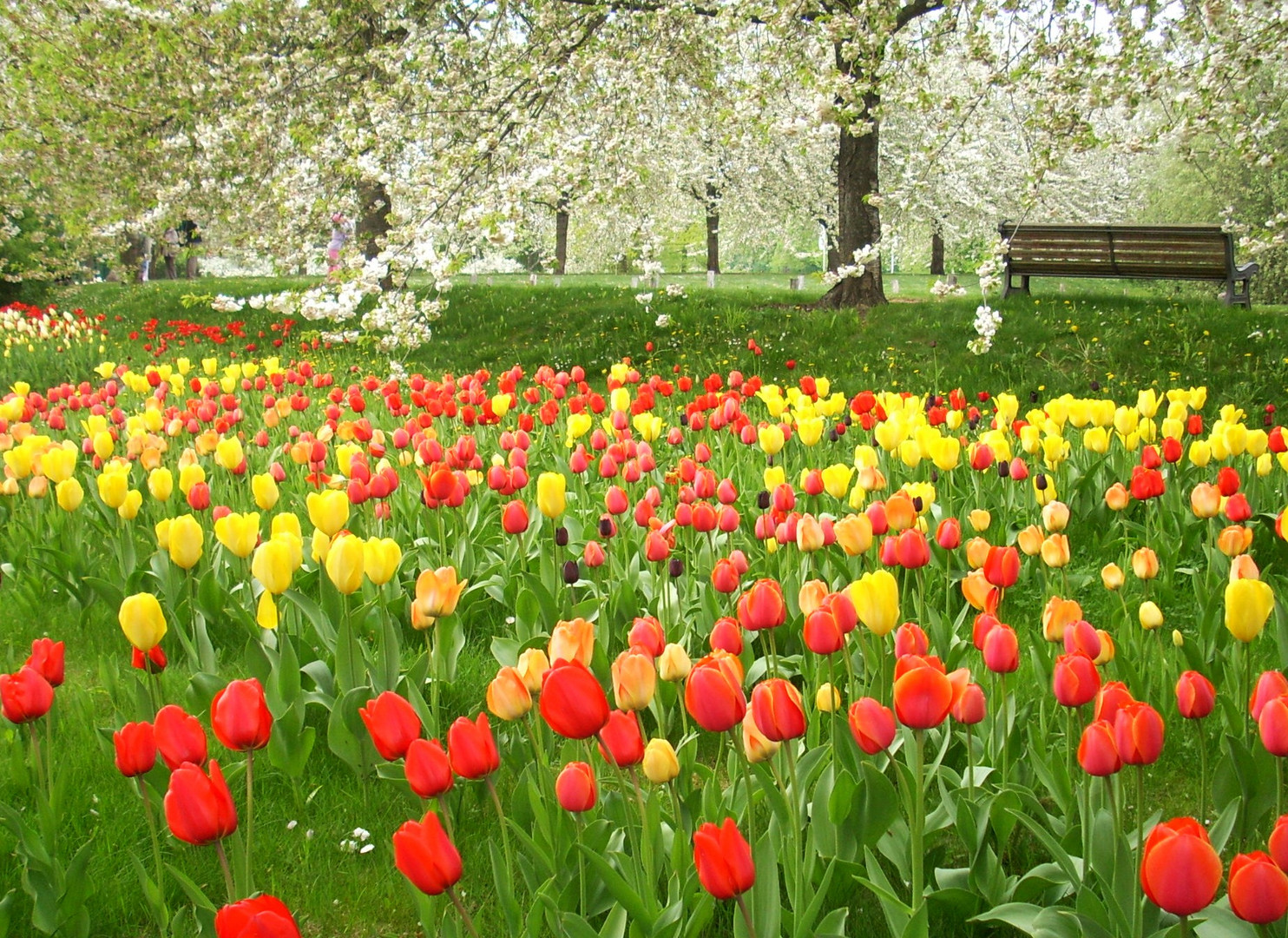 Der Frühling mit all seiner Pracht