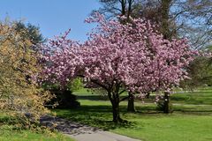 Der Frühling mit einem strahlenden Gesicht