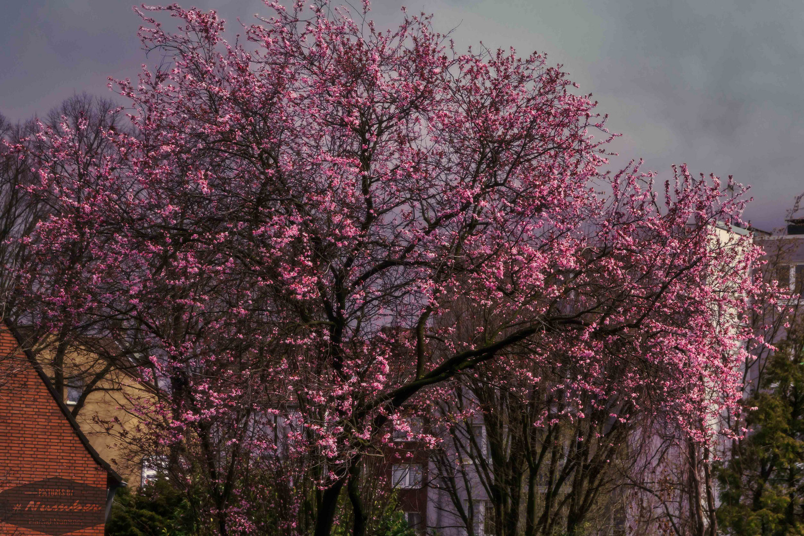 Der Frühling naht...