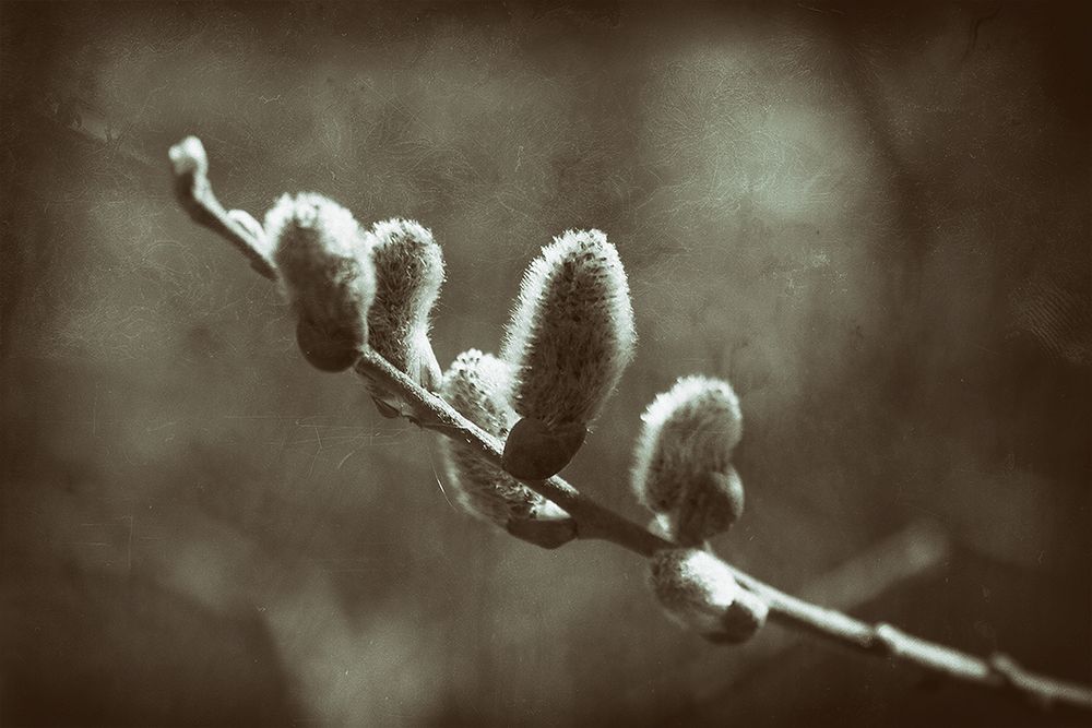 Der Frühling naht