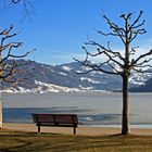 Der Frühling naht