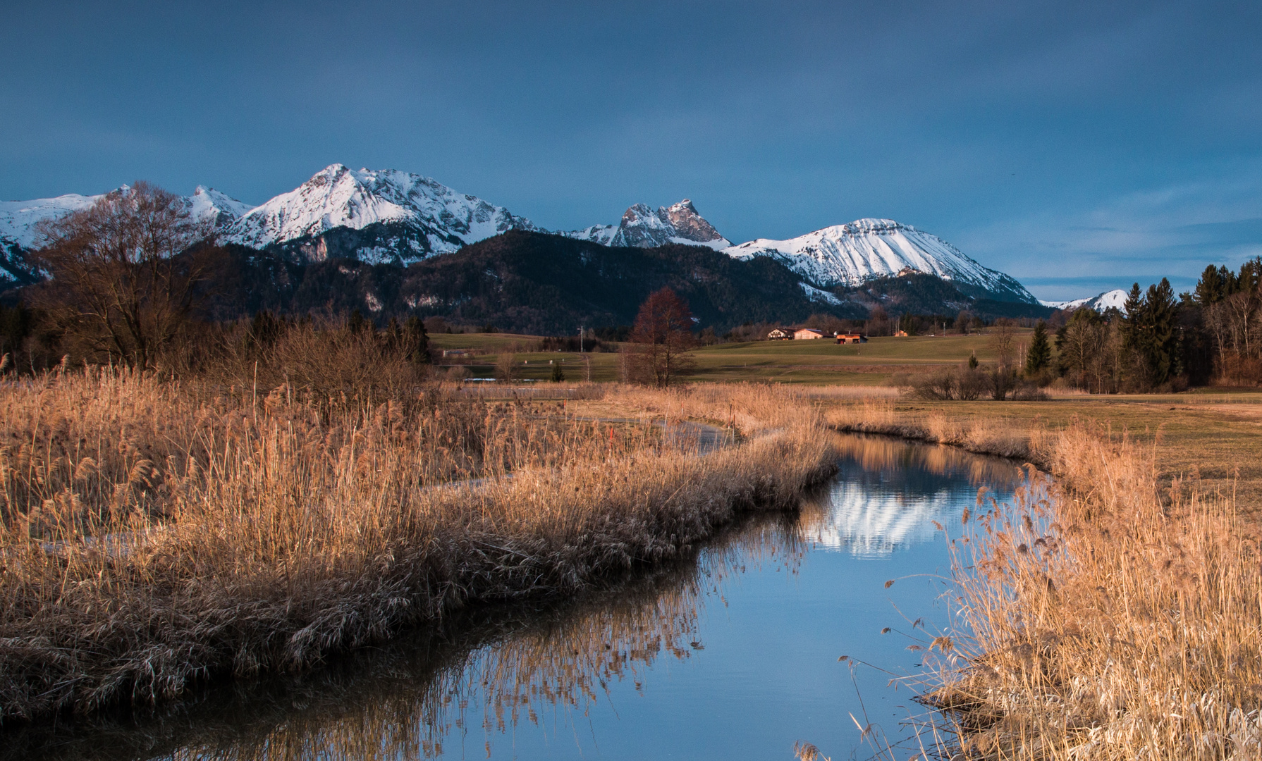 Der Frühling naht