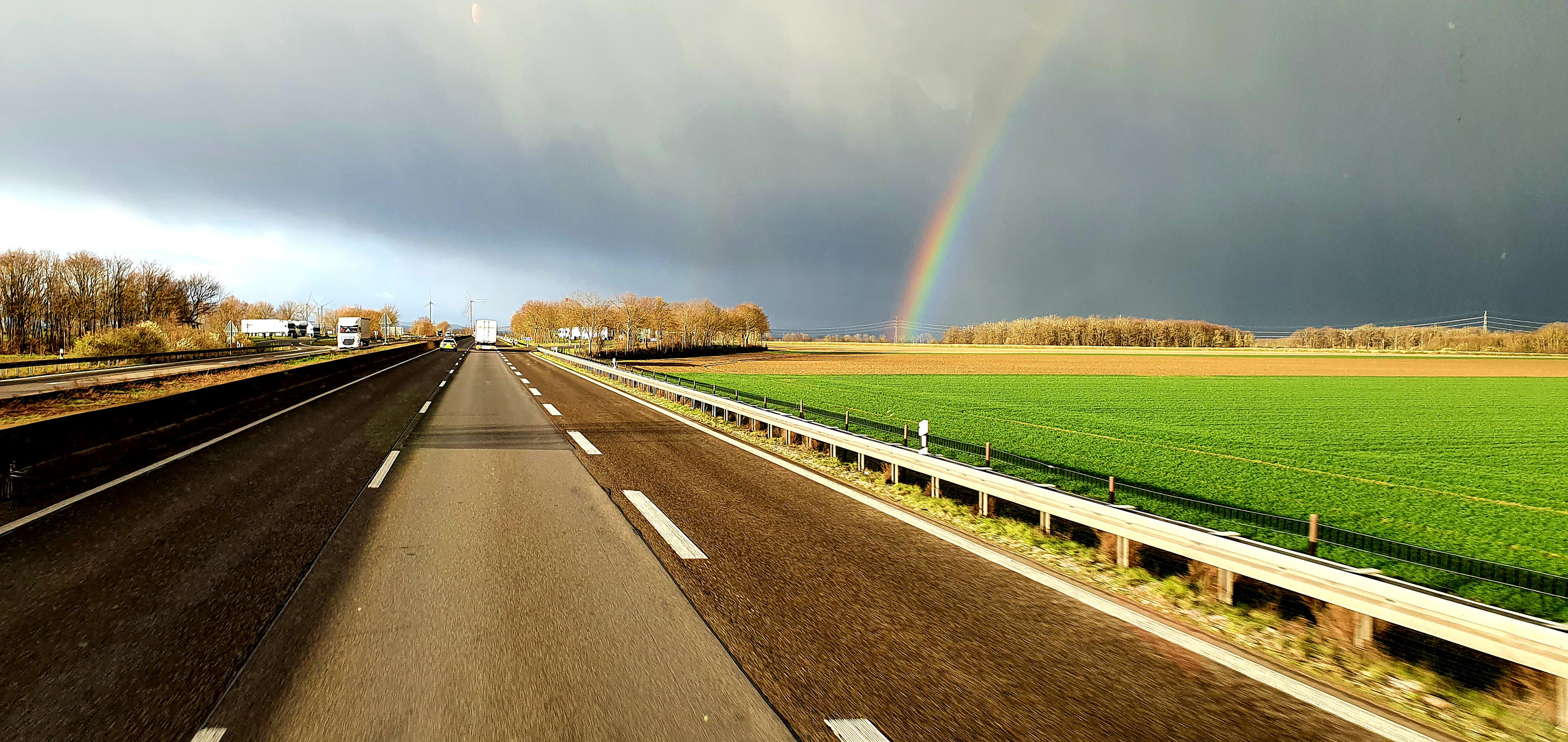 Der Frühling naht