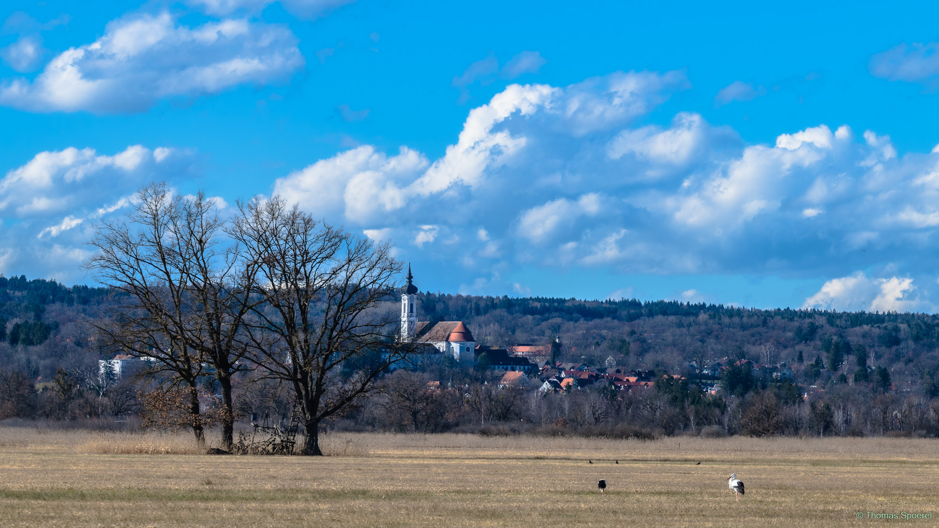 der Frühling naht